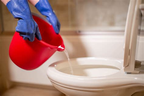 18 year old nude|Expert Solutions for Clogged and Leaking Toilets